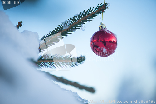 Image of christmas balls on tree