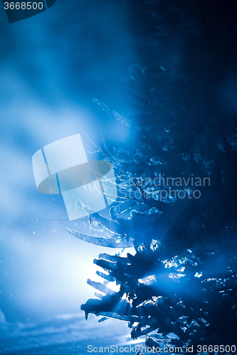 Image of tree covered with fresh snow at winter night