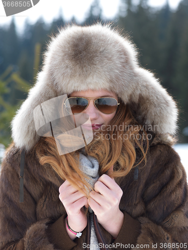 Image of portrait of beautiful young redhair woman in snow scenery