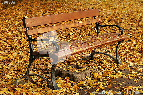 Image of bench in autumn