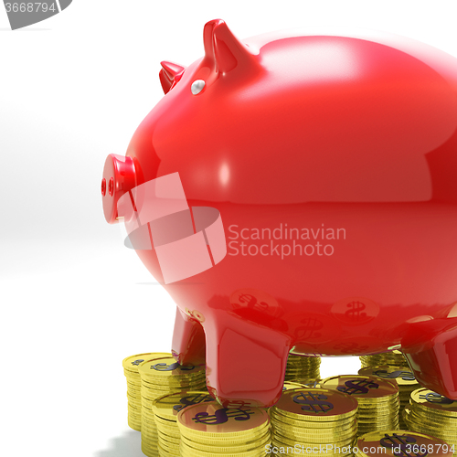 Image of Piggybank On Coins Shows Financial Balance