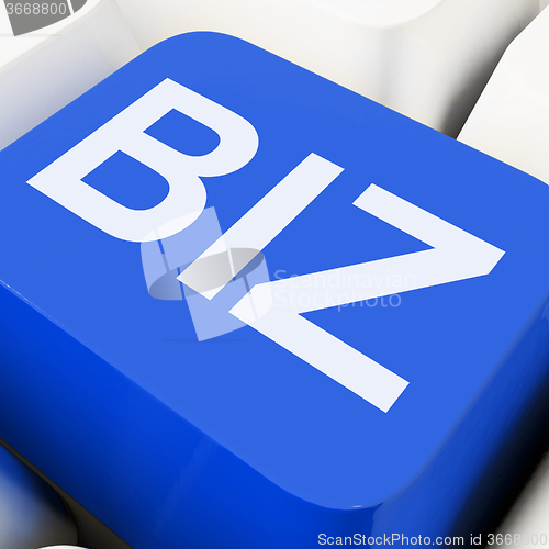 Image of Biz Key Shows Online Or Web Business