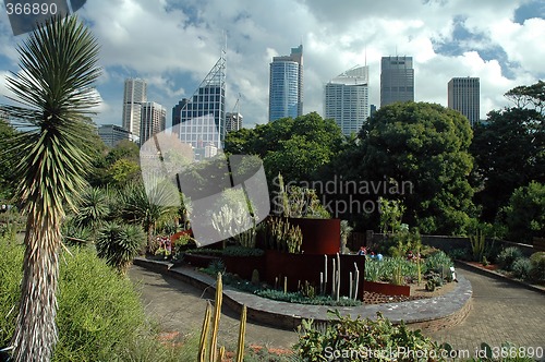 Image of Sydney Gardens