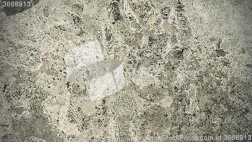 Image of Stone texture with fossils