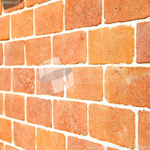 Image of brick in  italy old wall and texture material the background
