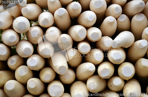 Image of Indian white radishes