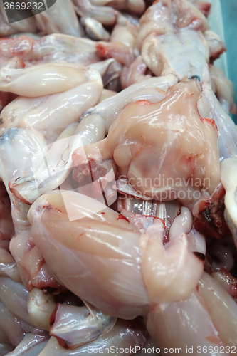 Image of Frog meat for sale