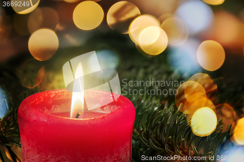 Image of red candle with branch