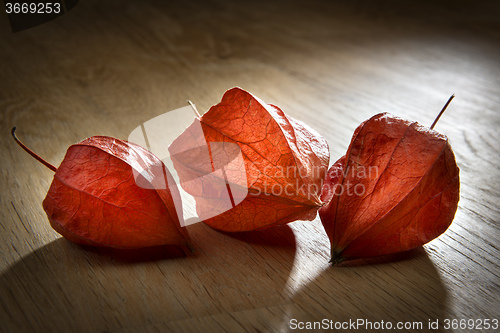 Image of Physalis on table