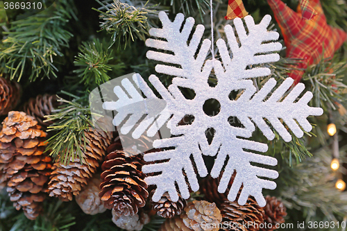 Image of Snowflake