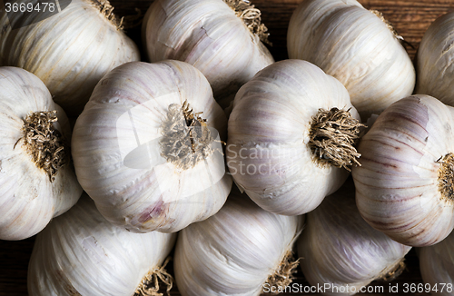 Image of Bunch of garlic