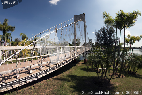 Image of Suspension Bridge in Park