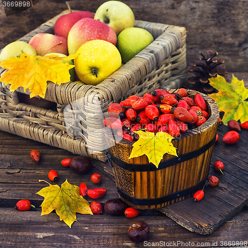 Image of Still life with autumn apples