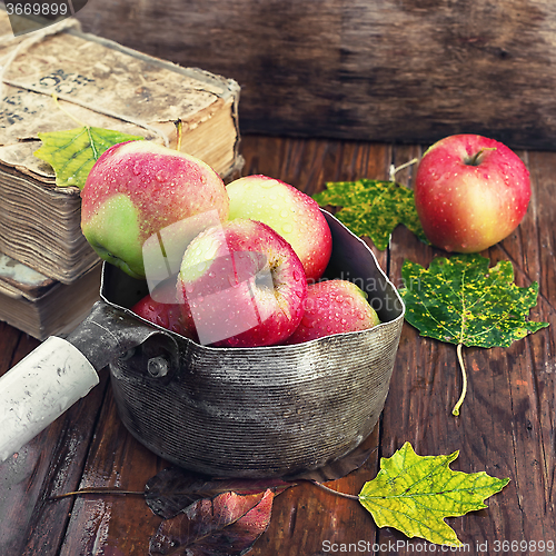 Image of Still life with autumn apples