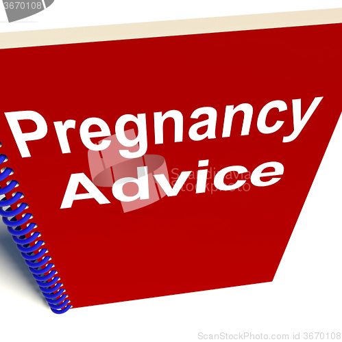 Image of Pregnancy Advice Book Gives Strategy for Mother and Baby