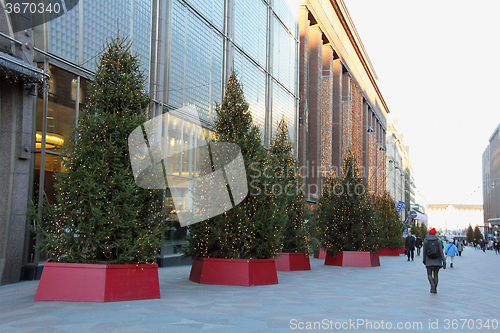 Image of Christmas Trees in Helsinki City 