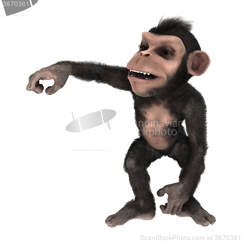 Image of Little Chimp Monkey on White