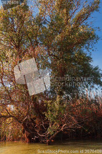 Image of Astrakhan River expanses  