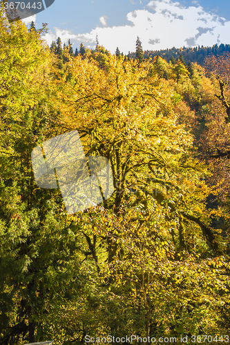 Image of Natural landscape of Abkhazia 