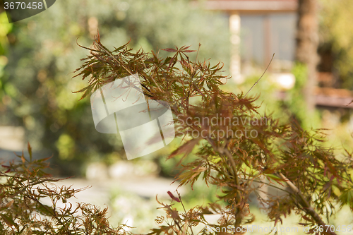 Image of Autumn landscape Caucasus