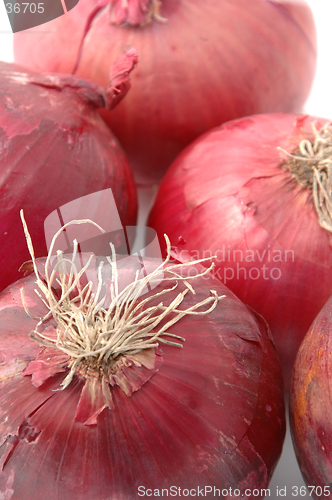 Image of bunch of red onions