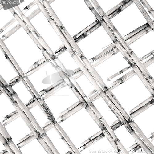 Image of morocco abstract bamboo roof in the  africa  sky