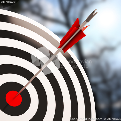 Image of Bulls eye Shot Shows Excellence And Skill