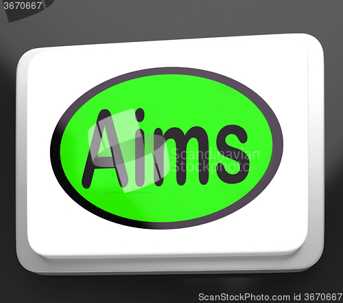 Image of Aims Button Shows Targeting Purpose And Aspiration