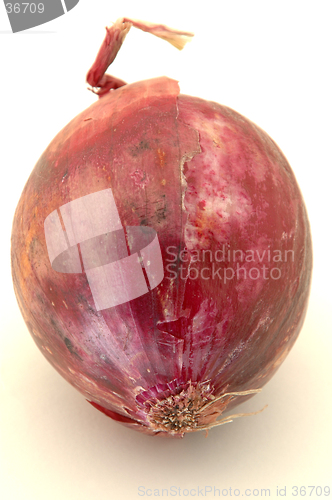 Image of red onion