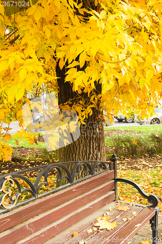 Image of The city park