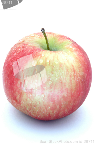 Image of mcintosh