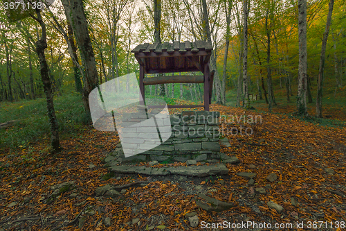 Image of Abandoned timber well