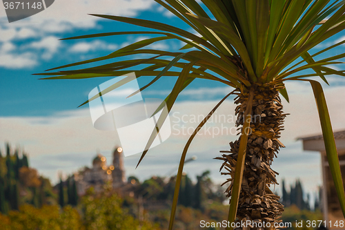 Image of Autumn seascape in Abkhazia  