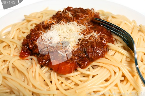 Image of Spaghetti bolognaise macro horizontal