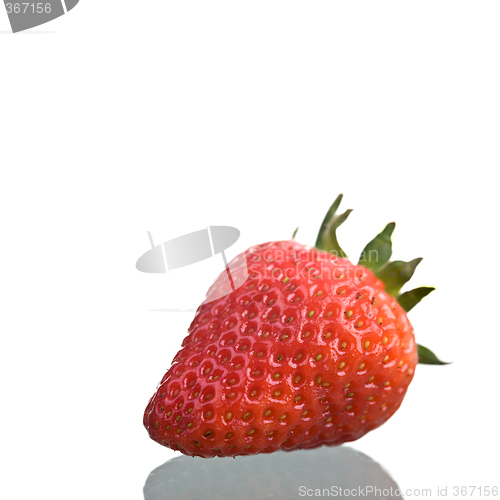 Image of Strawberry