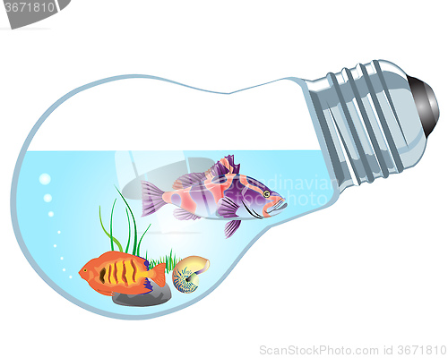 Image of bulb-aquarium