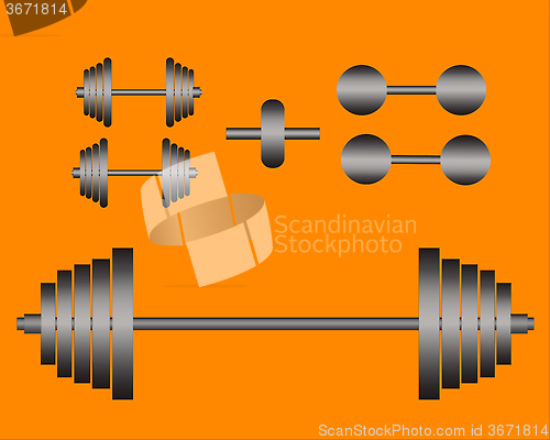 Image of dumbbell and barbell wheel