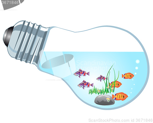 Image of aquarium