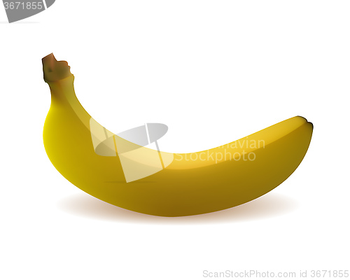 Image of banana yellow
