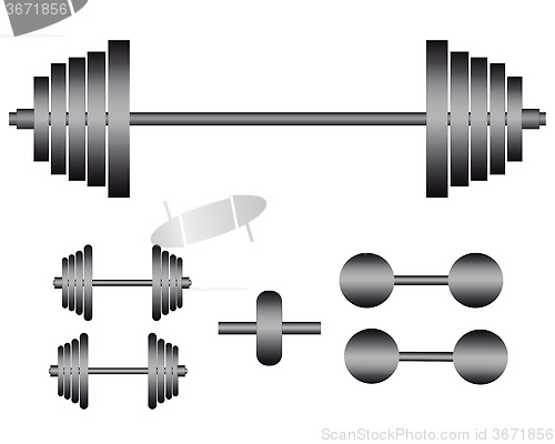 Image of barbells and dumbbells for exercise