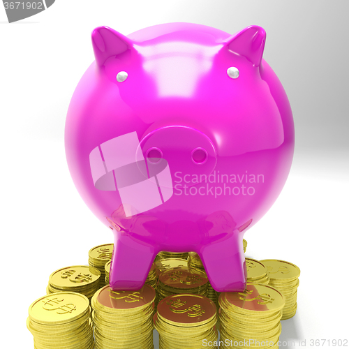 Image of Piggybank On Coins Showing Savings