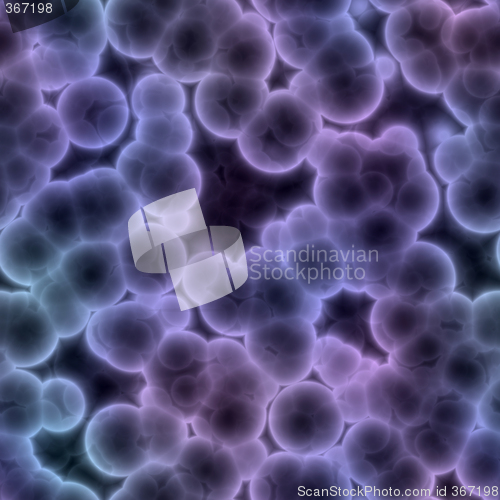 Image of cells