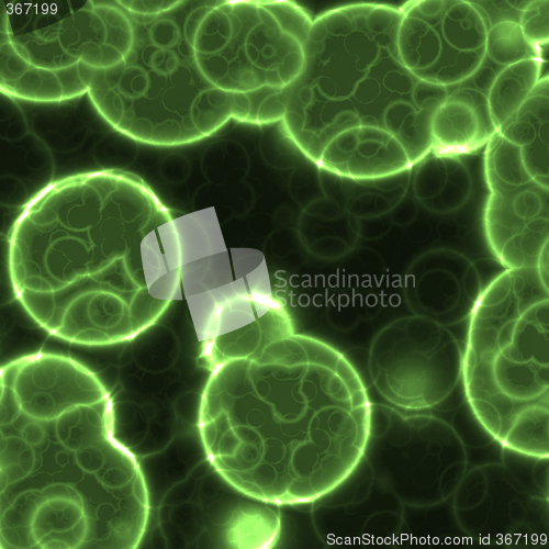 Image of cells