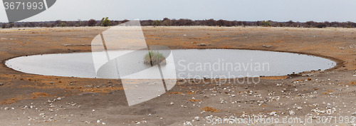 Image of Empty waterhole in namibia game reserve