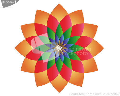 Image of flower