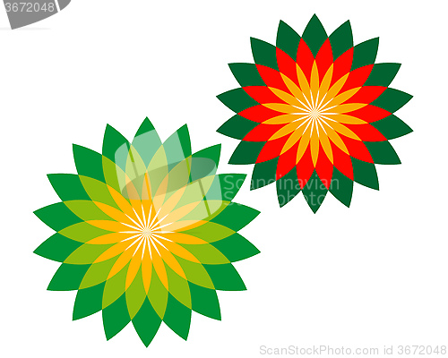 Image of flowers
