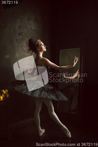 Image of Portrait of the ballerina in ballet tatu on black background