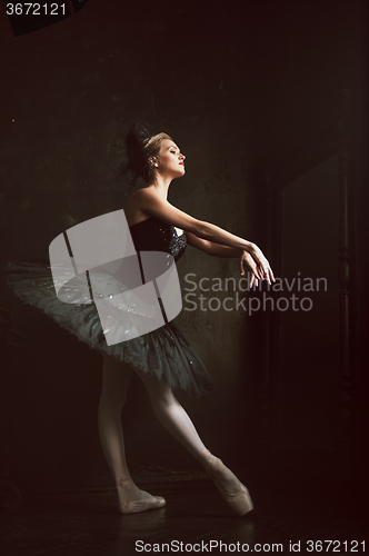 Image of Portrait of the ballerina in ballet tatu on black background