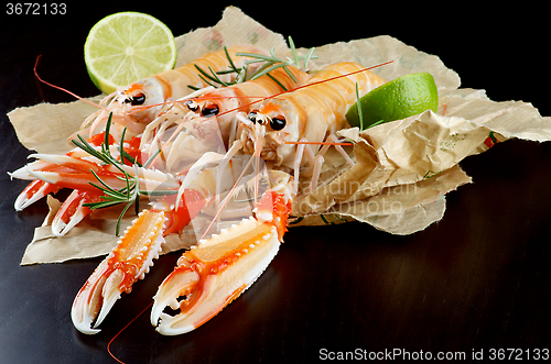 Image of Delicious Raw Langoustines