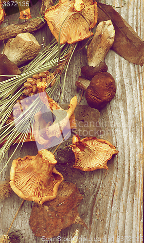 Image of Dried Mushrooms